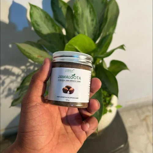 Jamalgota™ - Ayurvedic Hair Powder 🌱 (Buy 1 Get 1 Free🔥)